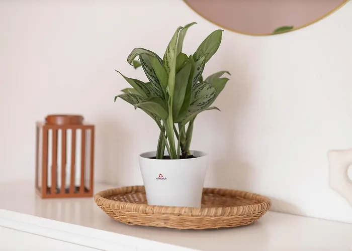 Wellness Lounge Am Bauhausmuseum